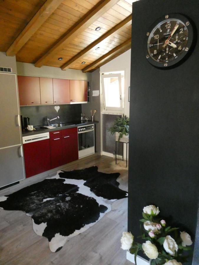 Central & Elegant Apartments,Partially With Fireplace, By Zermatt Rental Экстерьер фото